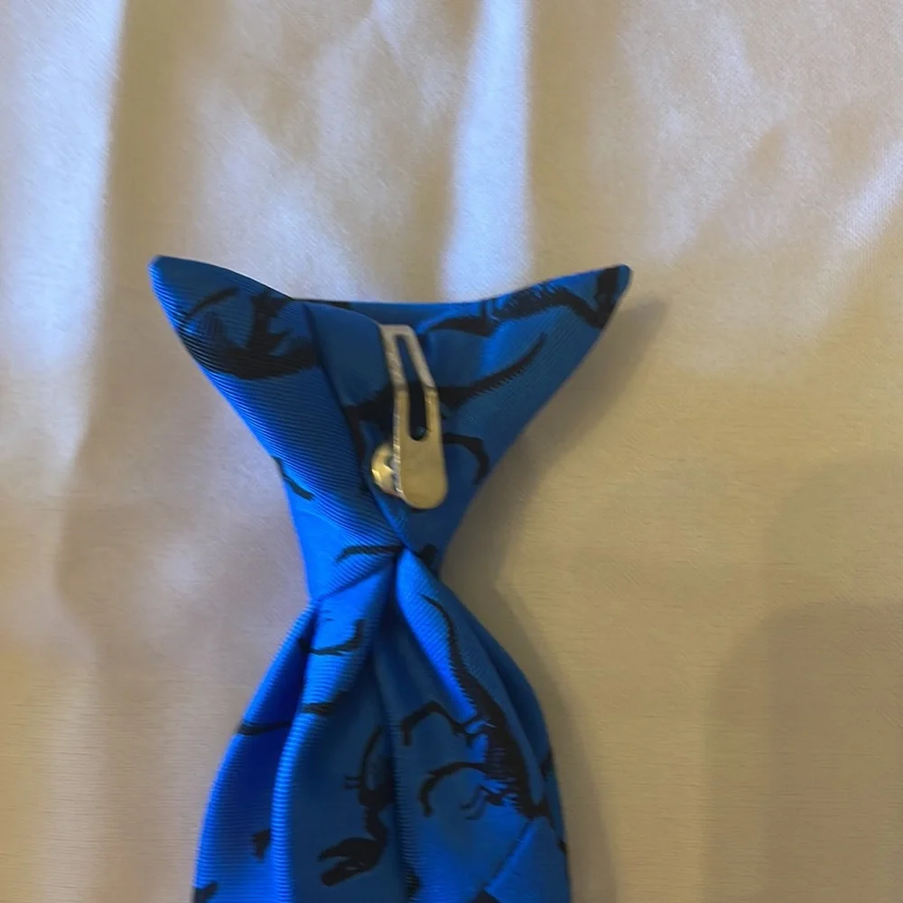2 clip on ties. One black, one blue with dinosaurs. Very cute. Boys size 6-8